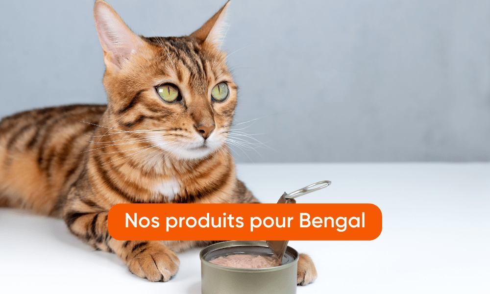 Un chat de race bengal est allongé sur la droite de l'image. À ses pattes se trouvent une boîte de pâtée. Un call to action orange est au centre de l'image.