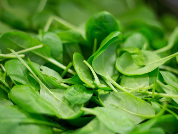 Ce sont des feuilles d'épinards entassées. Elles sont en gros plan et toutes verte. Ce sont des légumes bons pour la santé des chiens.