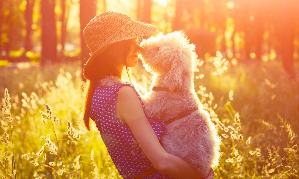 Regime alimentaire du chien : une femme tient un chien dans ses bras. Elle lui donne la meilleure alimentation possible.