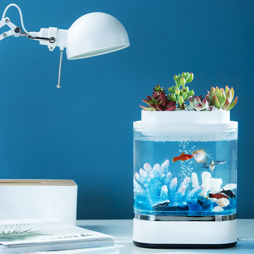 acrylic aquarium