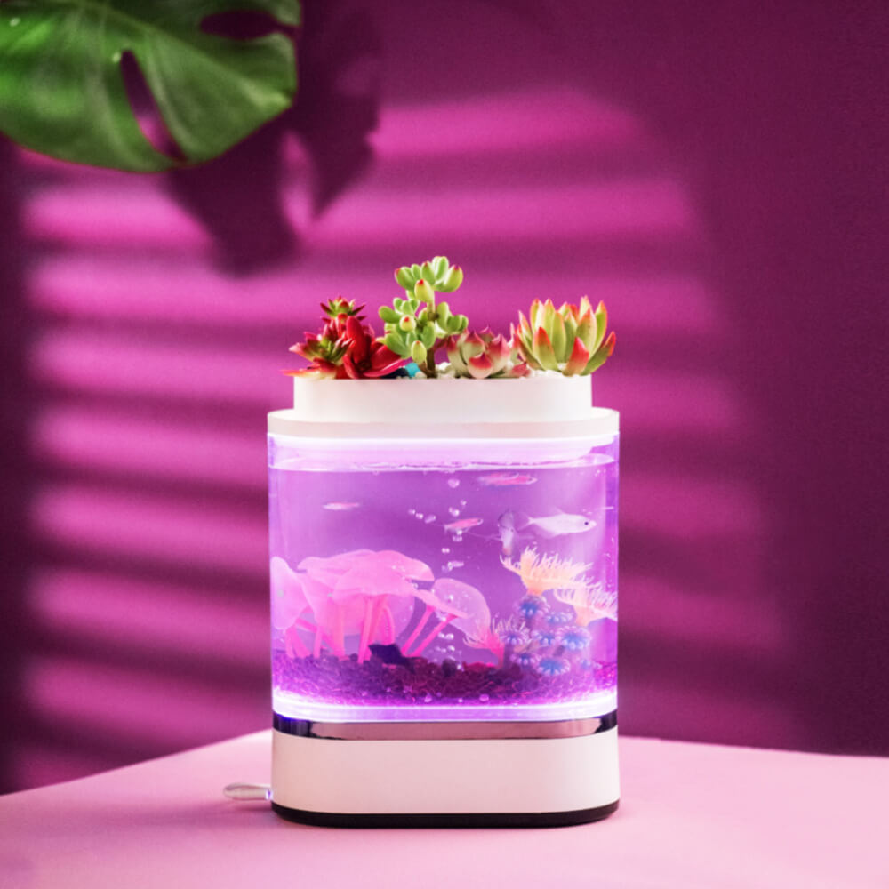 home aquarium