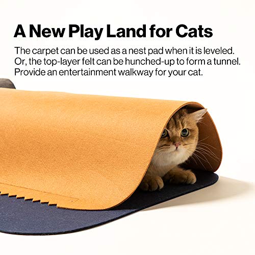 cat play mat