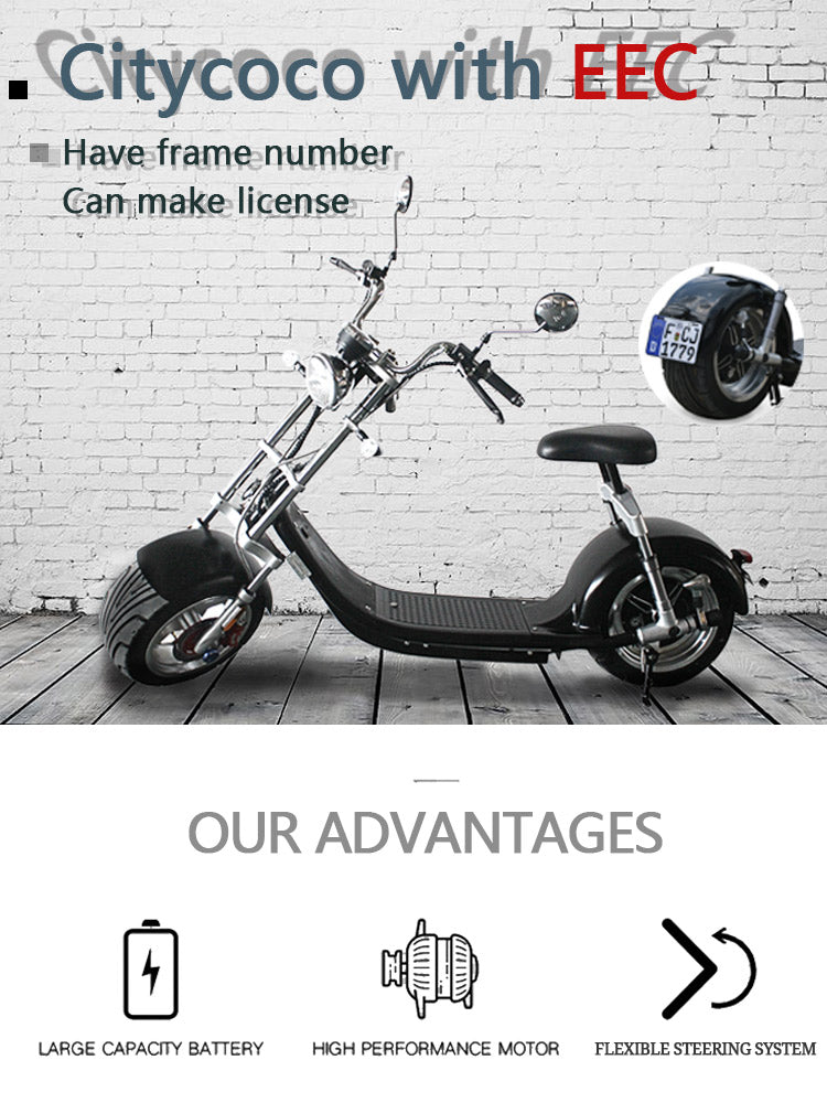 fat tire electric citycoco scooter