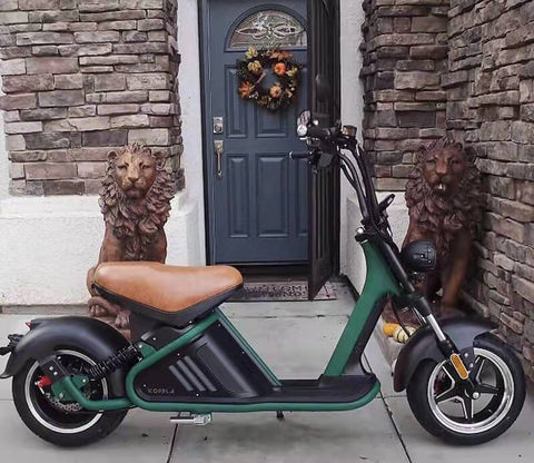 fat tire electric moped scooter