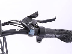 ebike speedometer