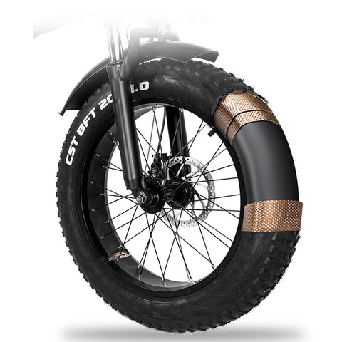 Cmacewheel Y20 e-bike