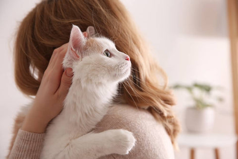 Les chats reconnaissent leur maitre grâce aux phéromones - Animojo.fr