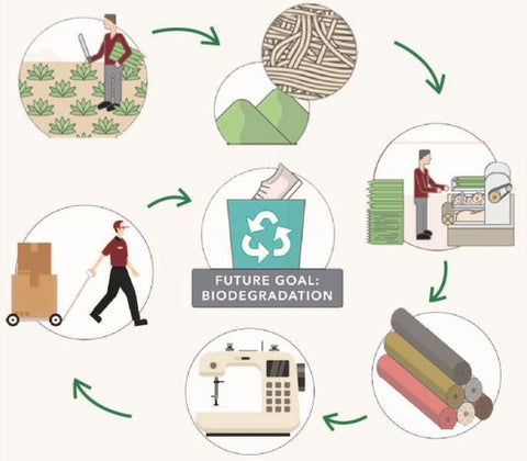 Sustainability cycle