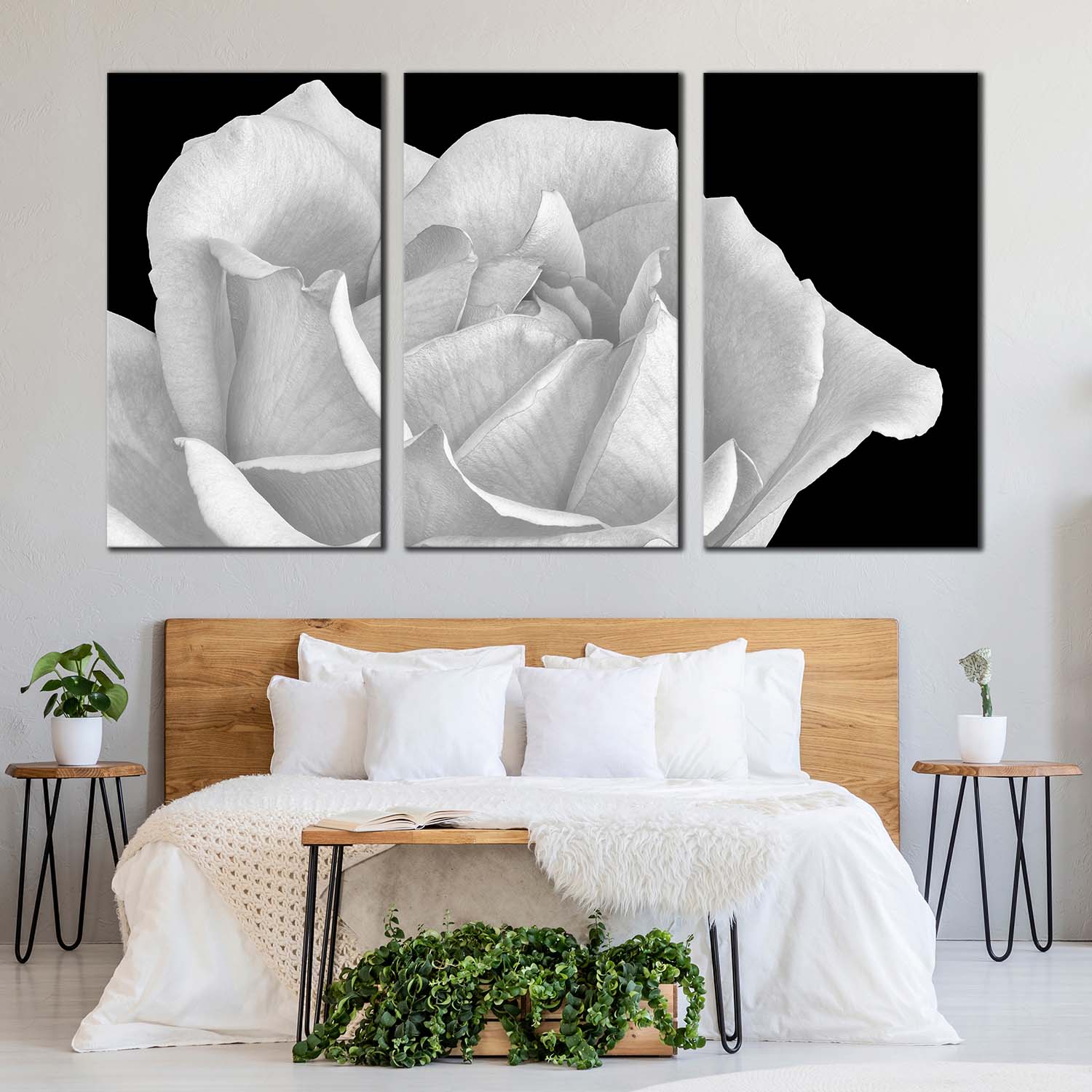 Blooming Rose Canvas Print, Black Background Monochrome Flower 3 Piece