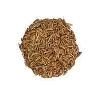 Grains de pavot (بذور الخشخاش)