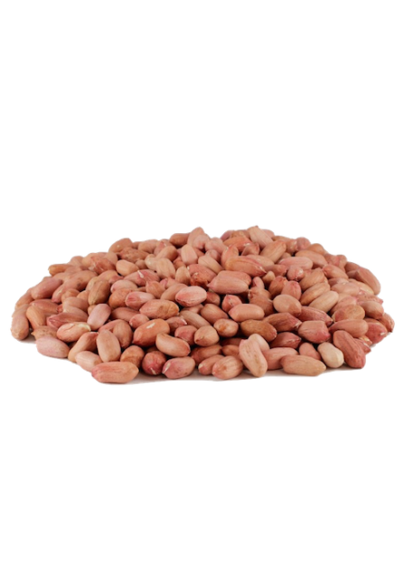 Pistaches Coques non grillées - فستق غير مكلي – GOJI MAROC