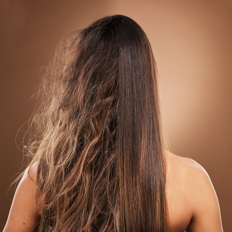 A view of the back of a woman's hair showing the difference between frizzy hair and straight hair.