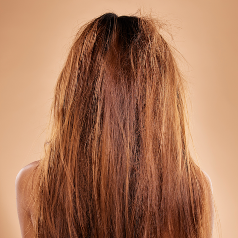 View of a back of a woman's frizzy hair.