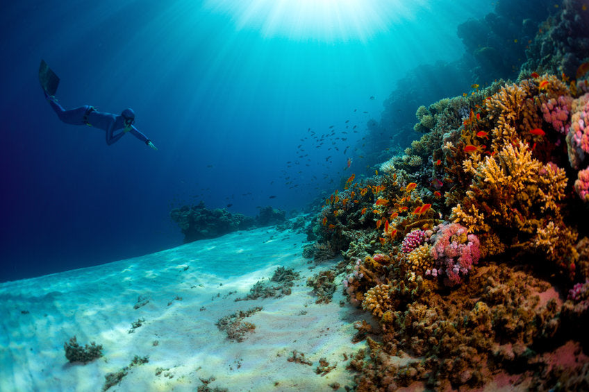 Freediver in the ocean