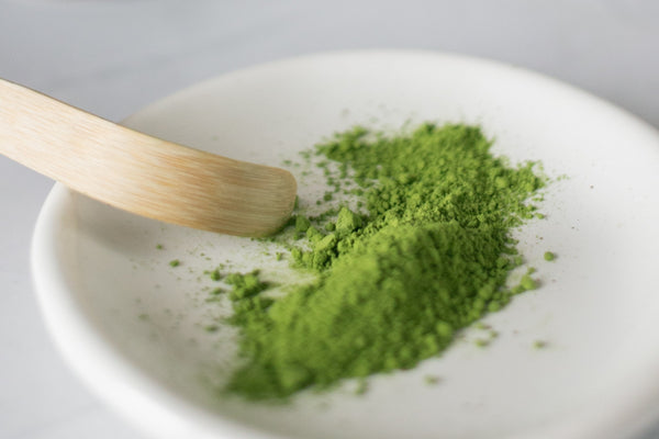 Matcha powder on a small dish with bamboo spoon