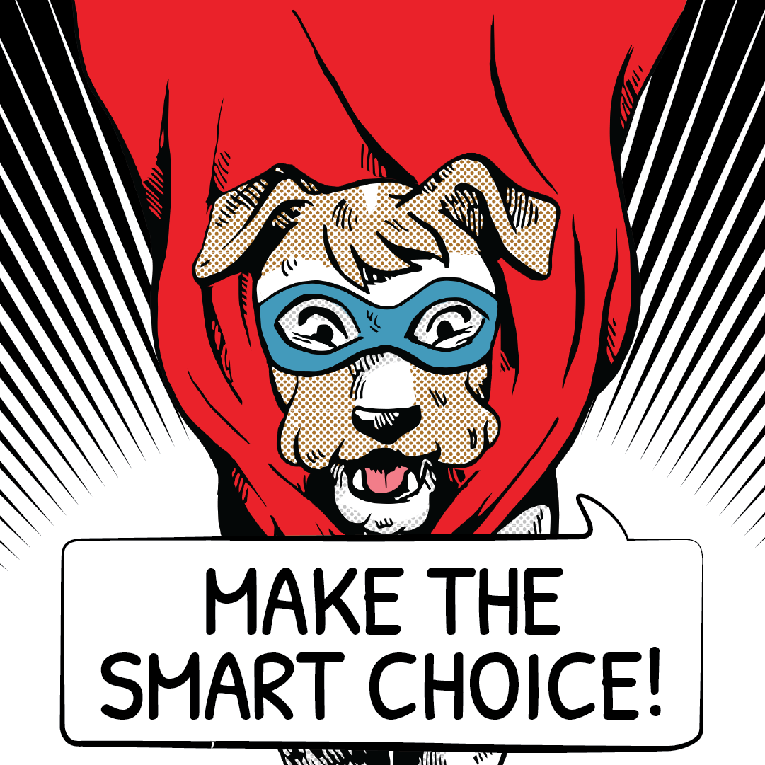 Make the Smart Choice Superhero