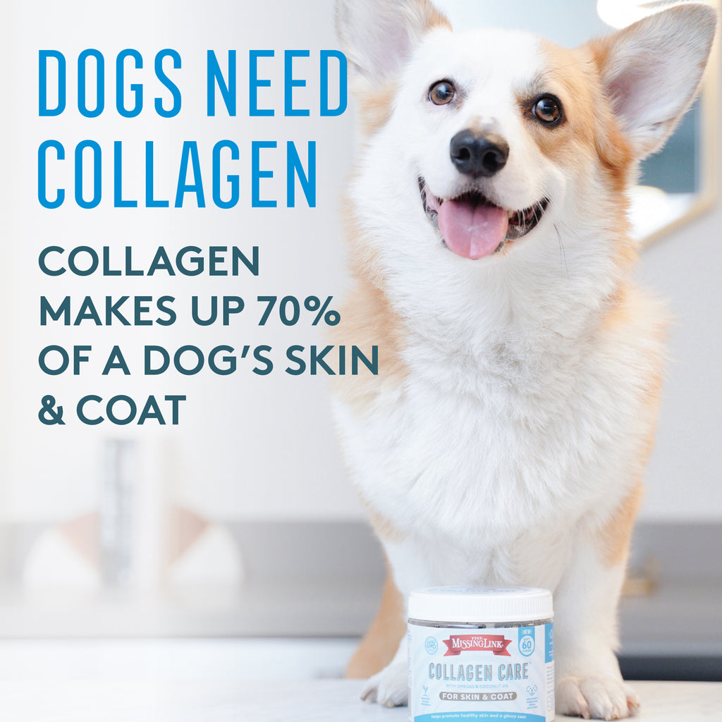 the missing link collagen care