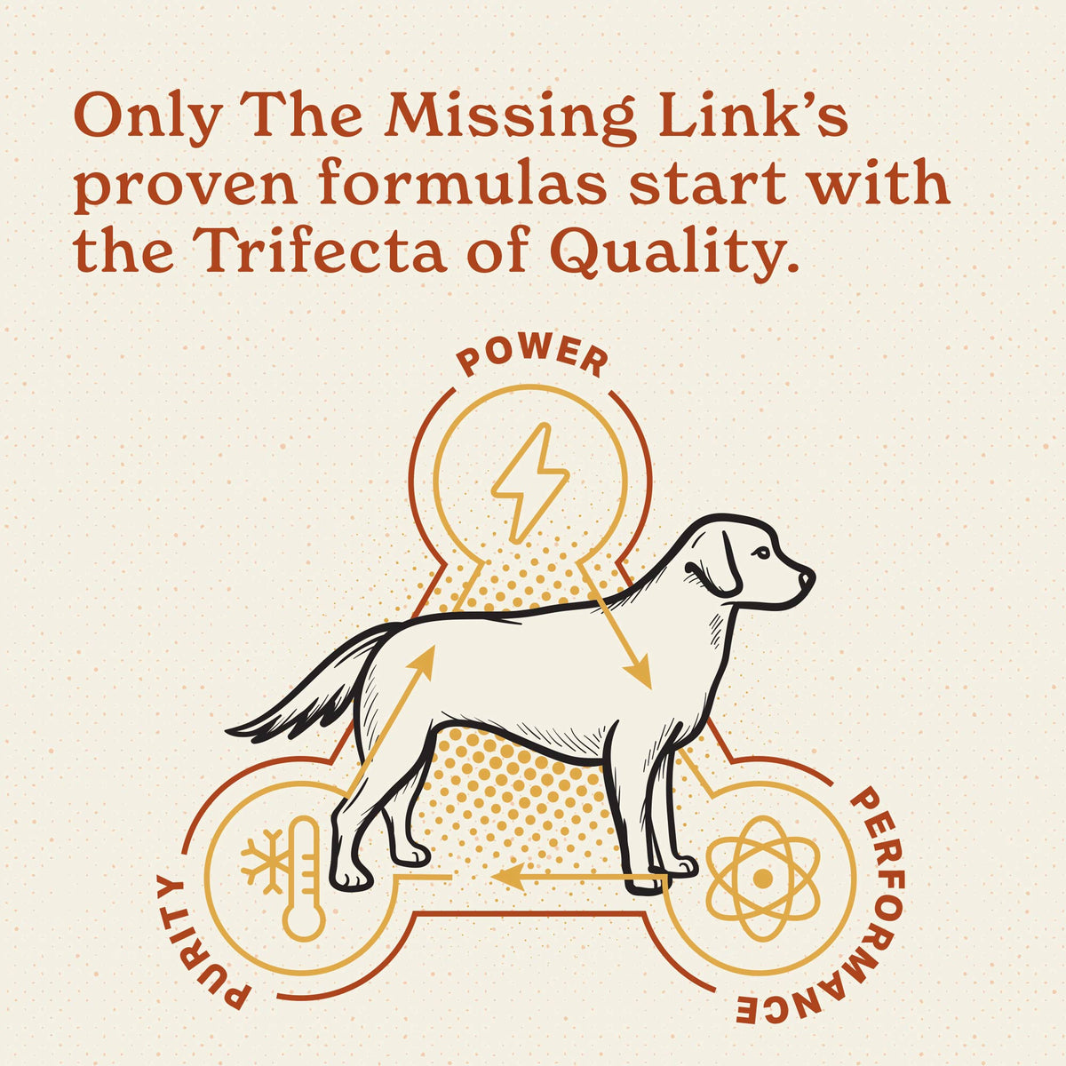 The Missing Link® Digestion Supplement for Dogs & Cats 1 lb. Powder