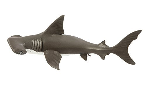 Safari Ltd Incredible Creatures Collection A Hammerhead Shark Baby A Toyscentral Europe