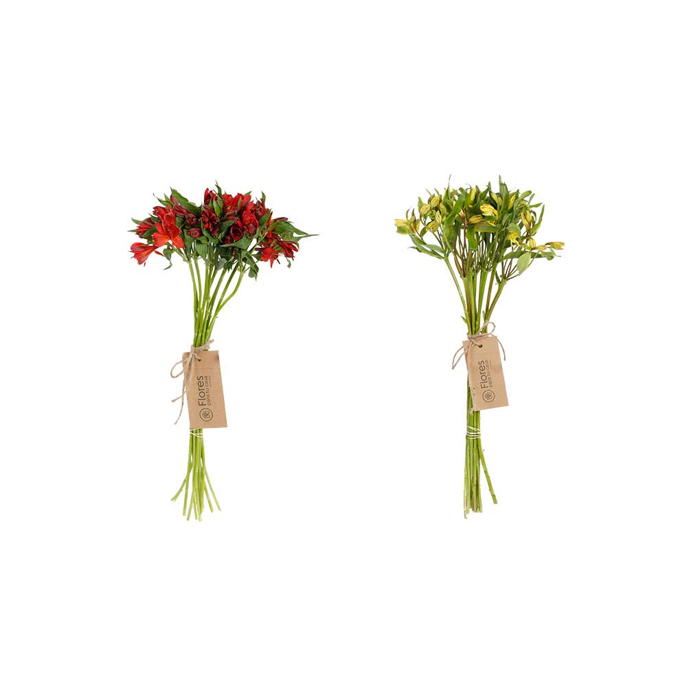 Suscripción 10 Astromelias Rojas y Amarillo | Flores Para Tu Casa