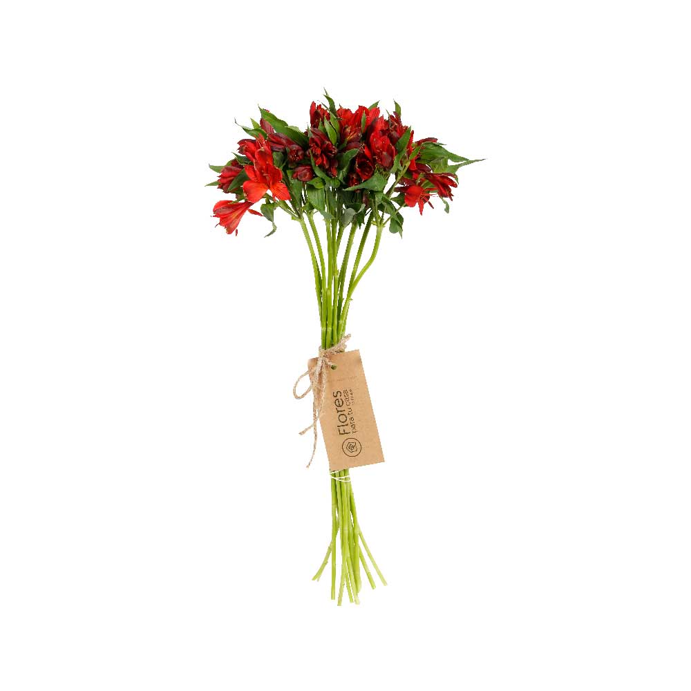 Paquete 10 Astromelias Rojas | Flores Para Tu Casa