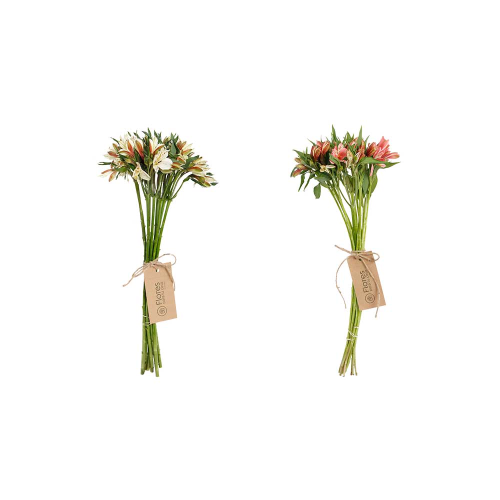 Suscripción 10 Astromelias Rosadas y Blancas | Flores Para Tu Casa