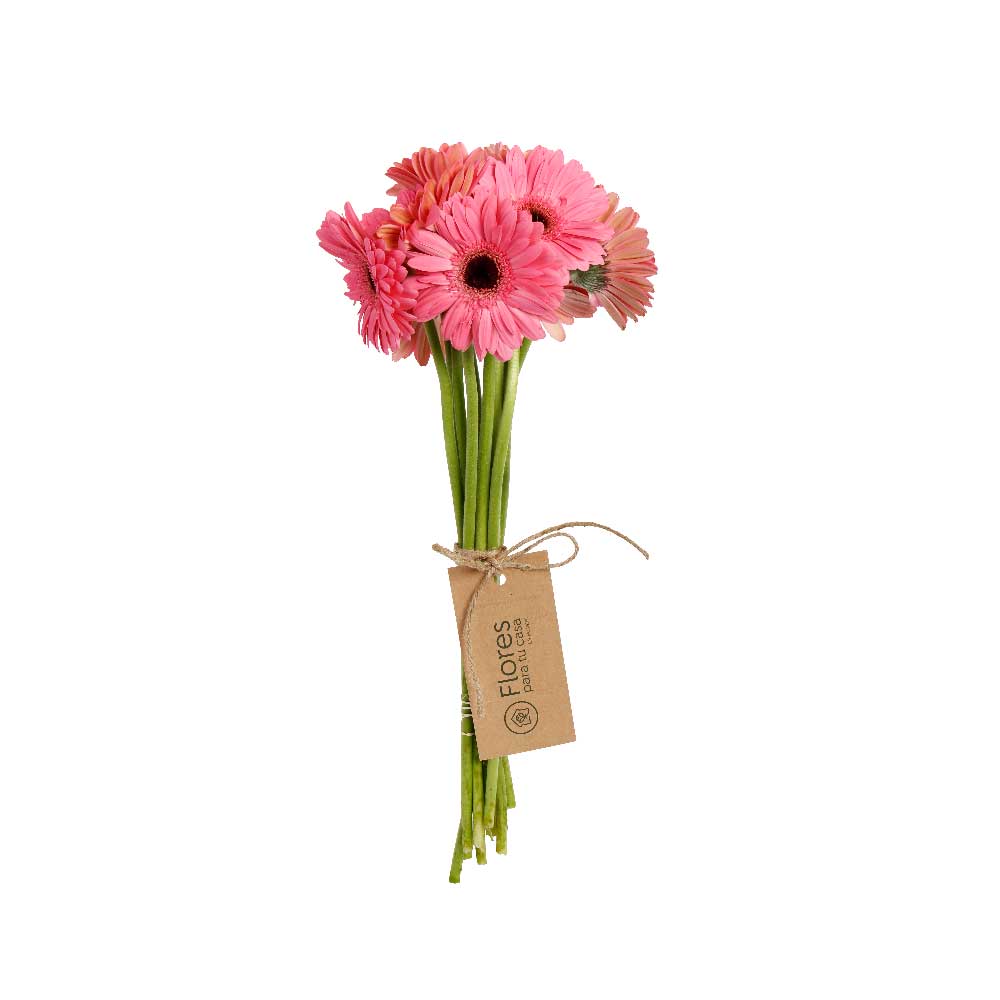 Paquete 10 Gerberas Rosadas | Flores Para Tu Casa