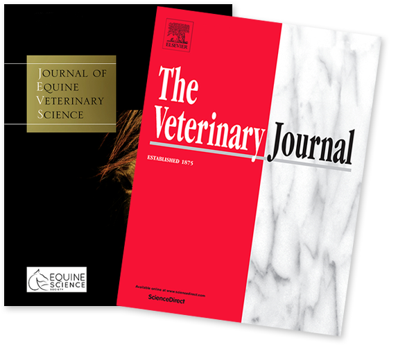 Equine Journal Covers