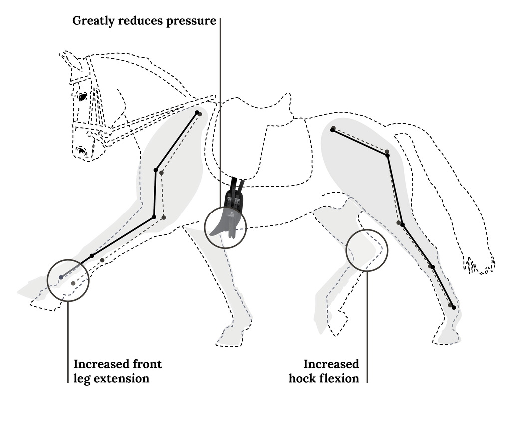 Fairfax Girth Flatwork Diagram