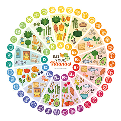 Eine Infografik zeigt die 13 wichtigsten Vitamine im Überblick.