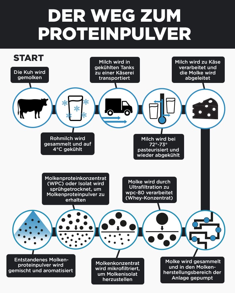 Die Entstehung von Proteinpulver