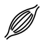 Icon einer Muskelfaser
