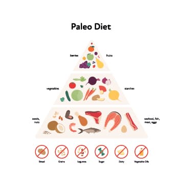 Paleo Diät Lebensmittel Pyramide