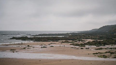 a beach in the coastal town of St Andrews