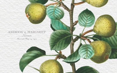 ANCESTOR TREES