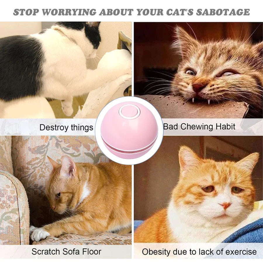 Smart Rolling Flash Ball Puppys And Kittens
