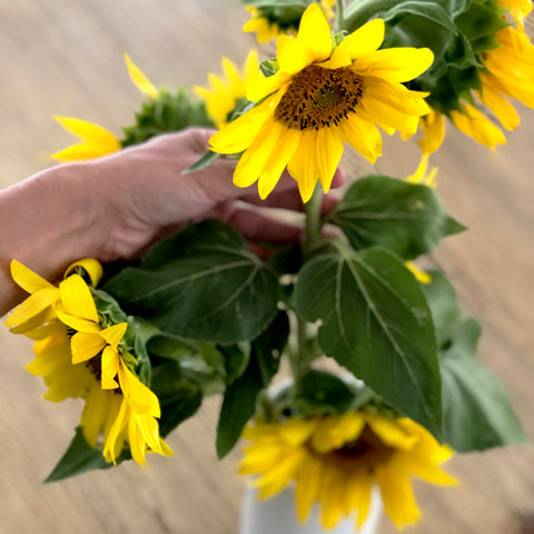 Bouquet de tournesols