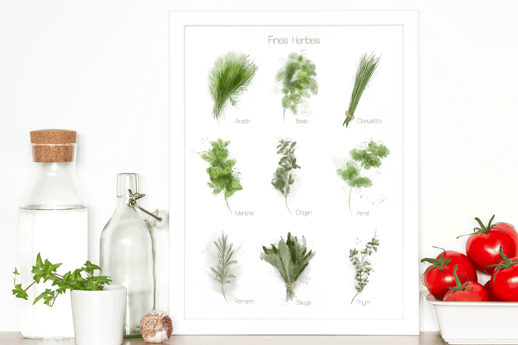 Affiche fines herbes illustrée par Cynthia Paquette