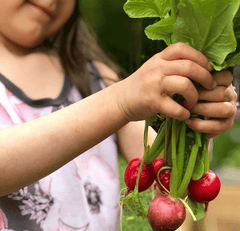 faire un potager en famille