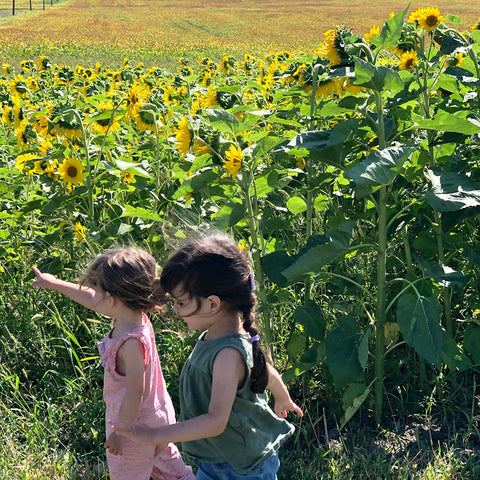 Les filles qui courent dans le champ de tournesols