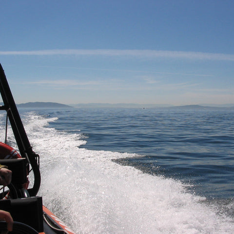 Randonnée en zodiak à Vancouver Island