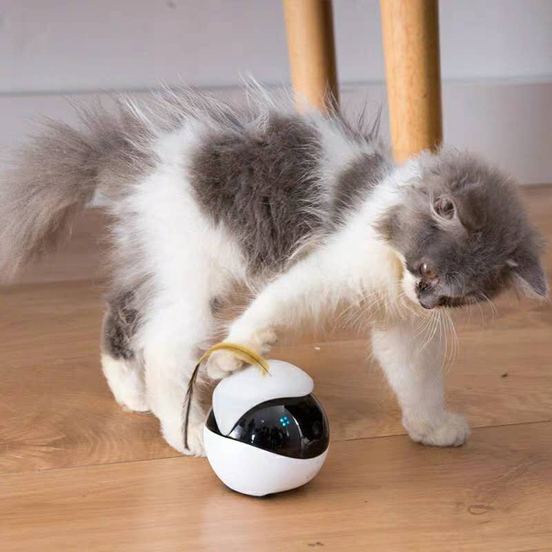全米で大ヒット Cat Robot 可愛い猫のお友達 猫用スマートロボット Ebo イーボ プレゼントとして最適です 税込27 50 ベルライフ