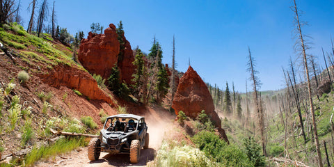 Piute trail