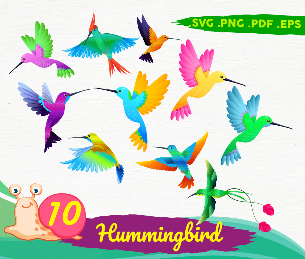 Free Free 304 Vector Hummingbird Svg Free SVG PNG EPS DXF File