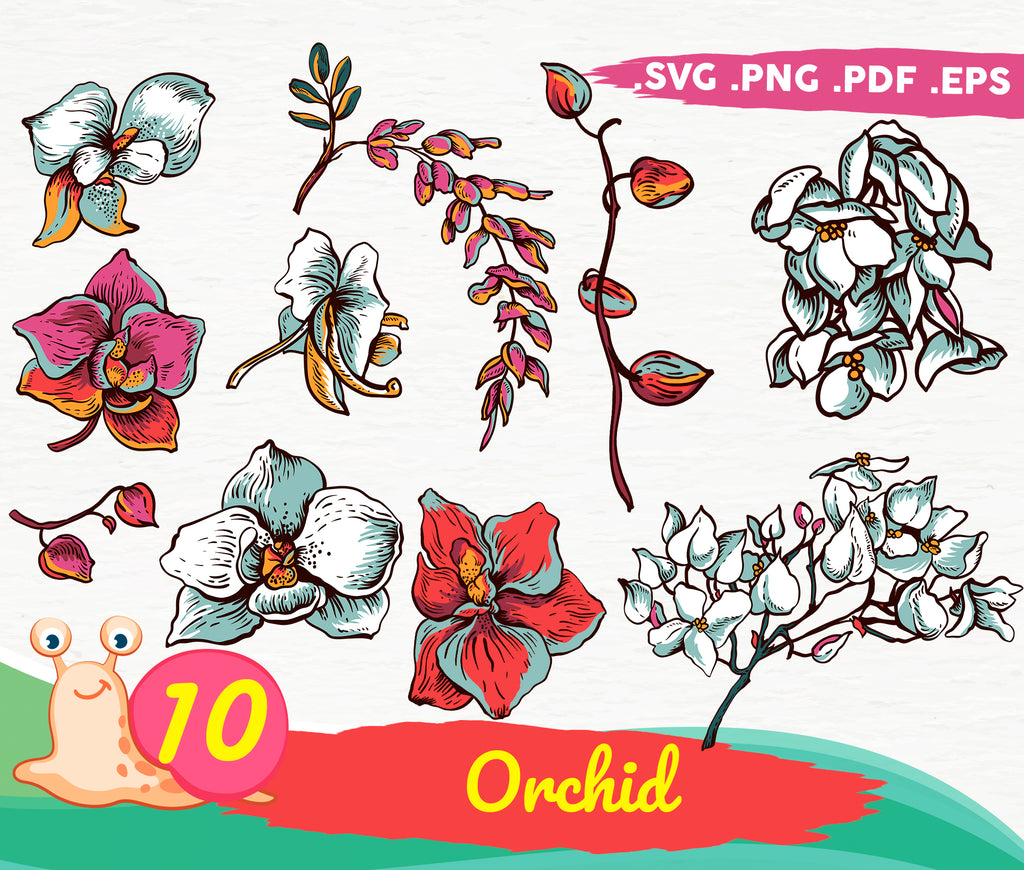Download Orchid Svg Orchid Print Flower Svg Garden Svg Gardening Svg Floral Sv Clipartic