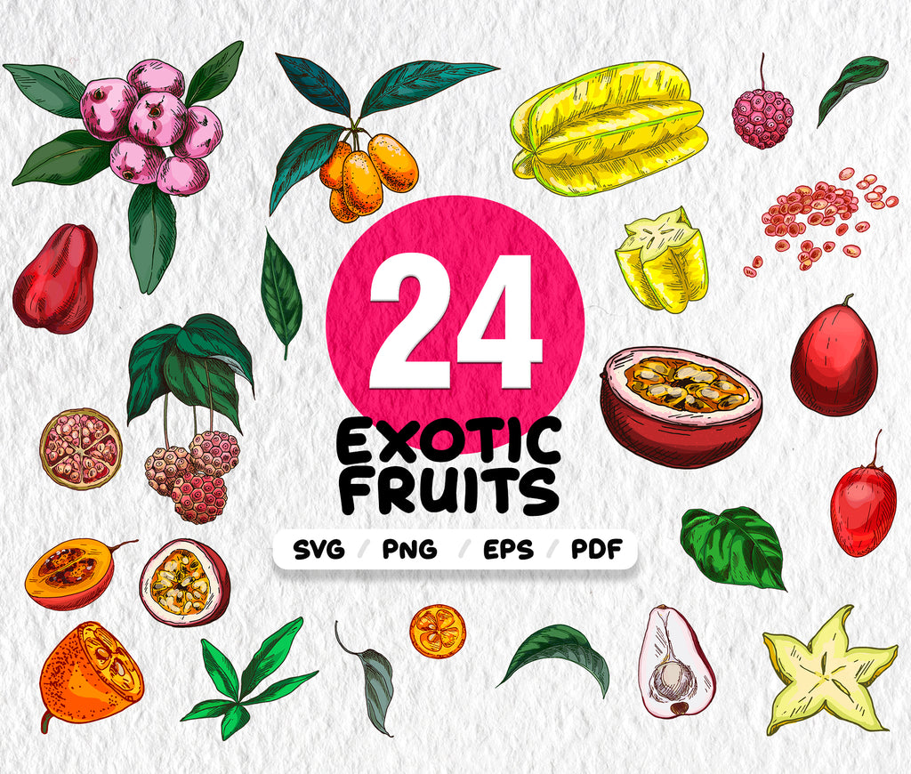 Download Exotic Fruit Svg Exotic Fruit Svg Fruit Clipart Fruits Vector Clip Ar Clipartic