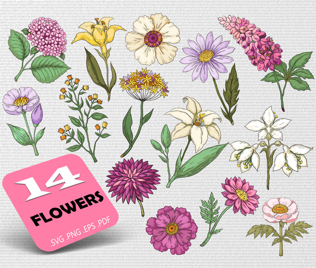 Download Flowers Svg Flowers Bundle Svg Wildflower Svg Flowers Svg Floral Sv Clipartic