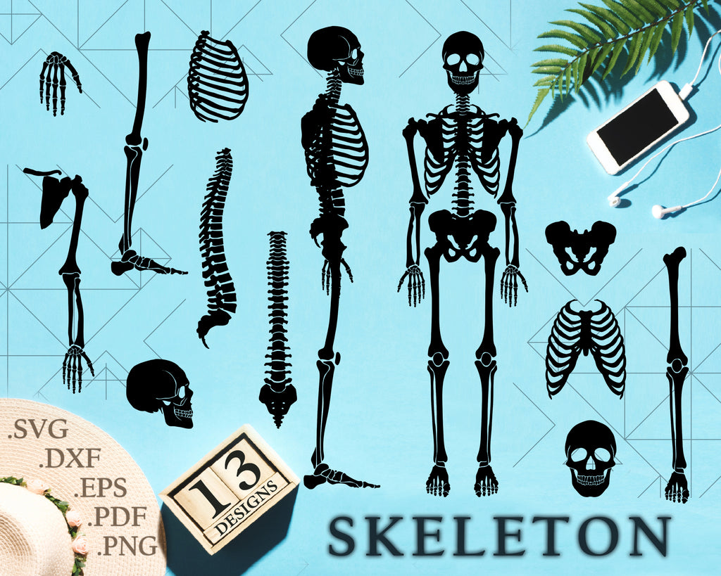 Download Skeleton Bundle Skeleton Cricut Skeleton Silhouette Skeleton Vec Clipartic