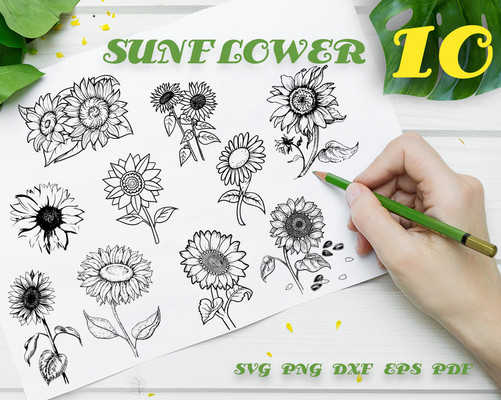 Free Free 195 Sunflower Stencil Svg SVG PNG EPS DXF File