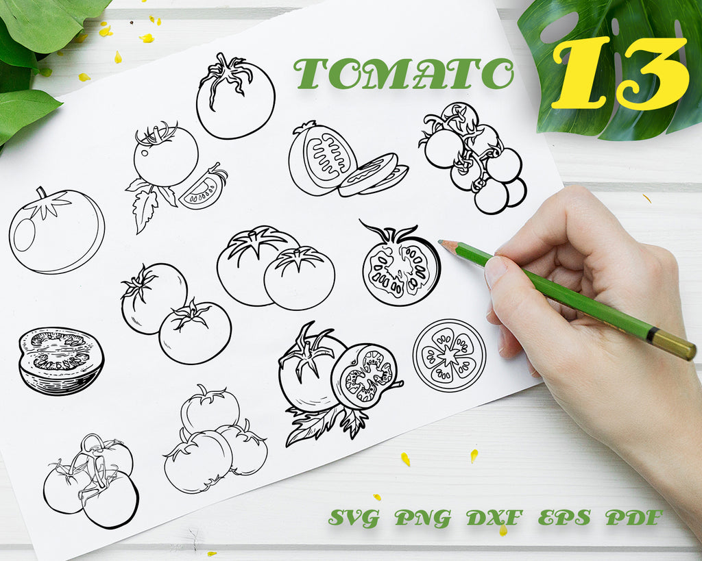 TOMATO SVG, Tomato Bundle, Tomato Vector, Tomato Clipart, Tomato Cut Files For Silhouette, Files for Cricut, Tomato Vector, Vegetable Svg, Png, Digitals Design, Instant Download